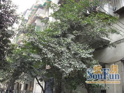 长冶路二段小区2室2厅1卫南朝向1500.00元/月出租