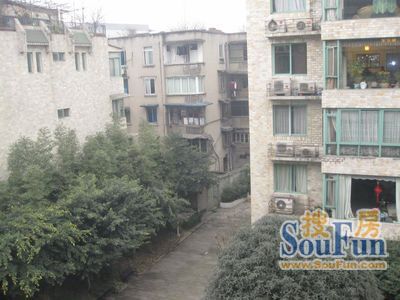 浣花庭园2室2厅1卫南朝向3500.00元/月出租