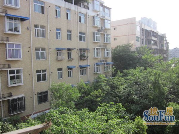 美丰花苑1室1卫东南朝向900.00元/月出租