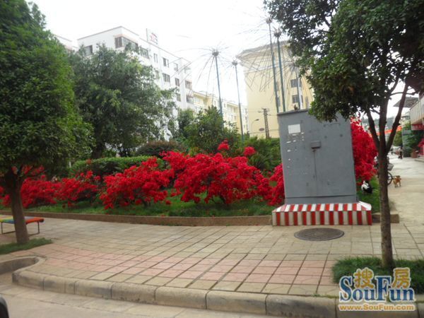 莫斯科人均绿地面积_昆明人均住房面积(2)