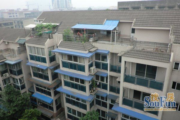 天元山庄3室2厅2卫东南朝向1800.00元/月出租