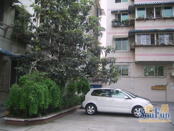 邮政局家属院(温江) 3室 1厅 119.37平米