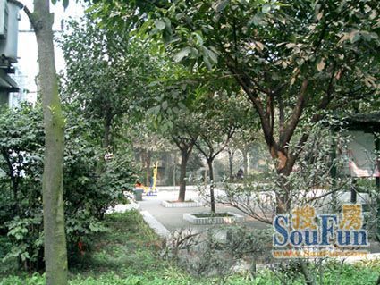 武侯祠大街252号院2室1厅1卫东南朝向2600.00元/月出租