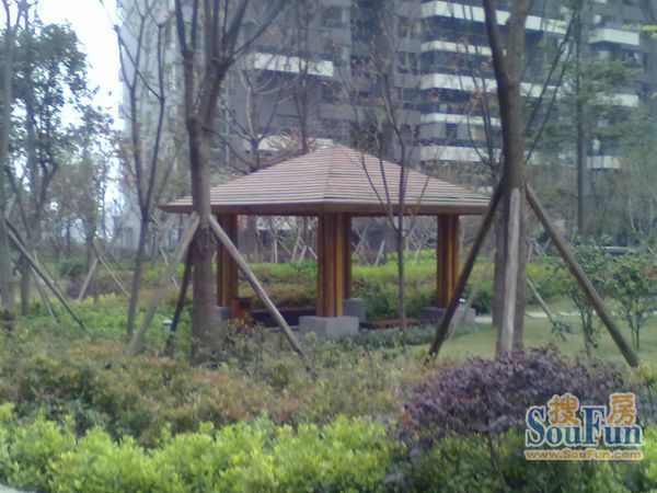 华都美林湾2室2厅1卫东南朝向2700.00元/月出租