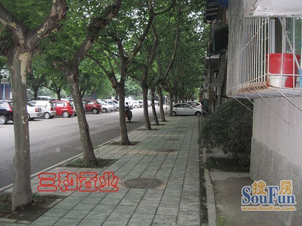 611所家属院2室1厅1卫南北朝向2600.00元/月出租