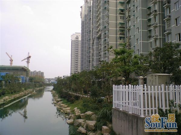 小河佳苑1室1厅1卫南朝向2600.00元/月出租