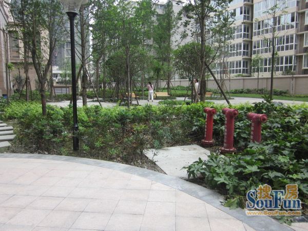 城市博客阳光里1室1厅1卫东南朝向2000.00元/月出租