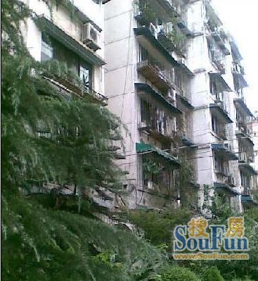 圃园南一路2号院2室1厅1卫南朝向1400.00元/月出租