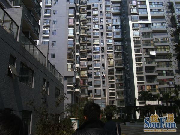 金谷大厦2室2厅2卫西朝向2500.00元/月出租