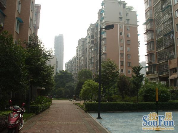 新锐湘都2室2厅1卫东南朝向2200.00元/月出租