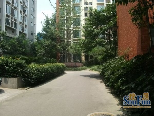 育才都市家园3室2厅2卫南朝向4500.00元/月出租