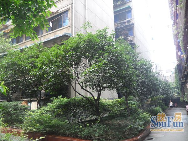 桂王桥东街4号院3室1厅1卫东朝向3200.00元/月出租