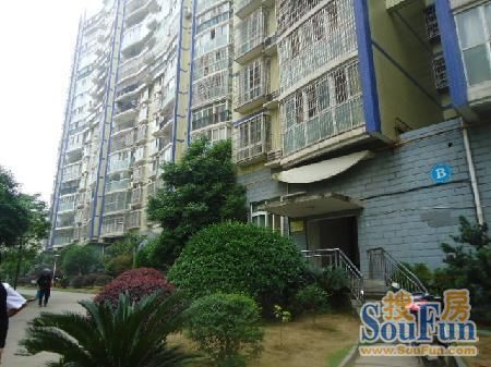 麓谷E家人4室2厅2卫南朝向3600.00元/月出租