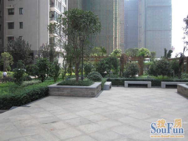 整租·时代星城3室2厅