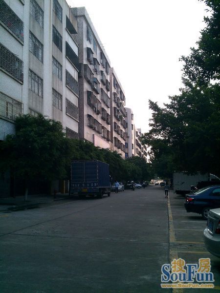 罗村外滩3室1厅2卫南朝向1500.00元/月出租