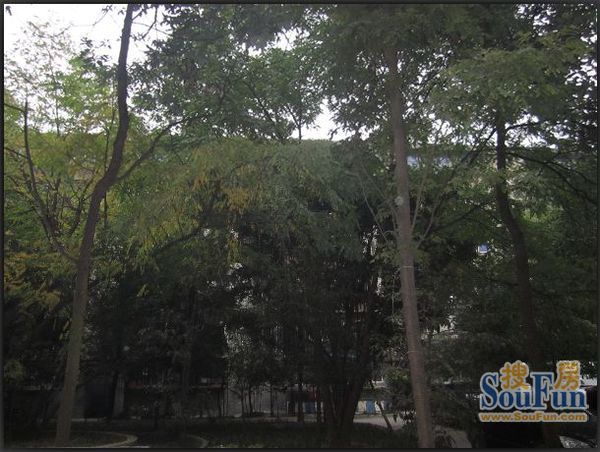 毛纺厂宿舍2室2厅1卫东南朝向1400.00元/月出租