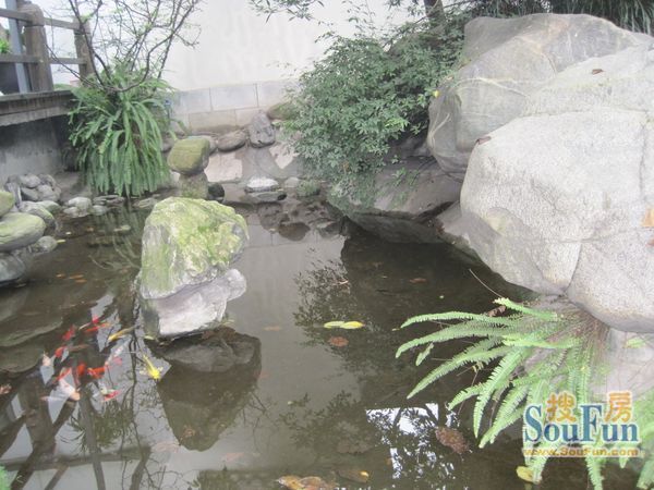 清华坊5室2厅3卫南朝向26600.00元/月出租