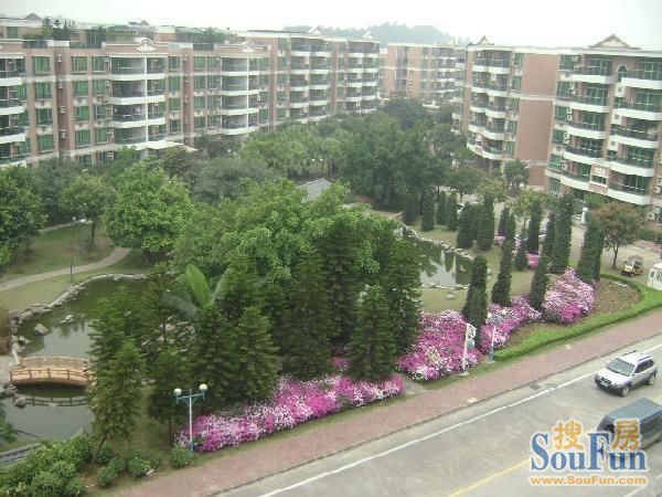 整租·碧桂园西苑听涛居 2室2厅 南/北