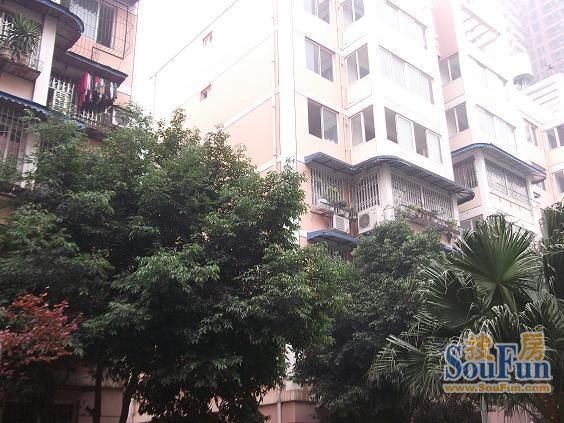 经天路8号院3室2厅1卫东南朝向2600.00元/月出租