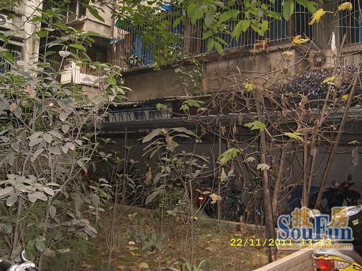 人民中路二段小区2室1厅1卫南北朝向1800.00元/月出租