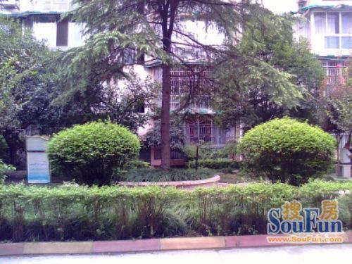 千禧公寓3室2厅1卫南北朝向1800.00元/月出租