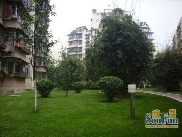 陶然村3室2厅2卫东南朝向1400.00元/月出租