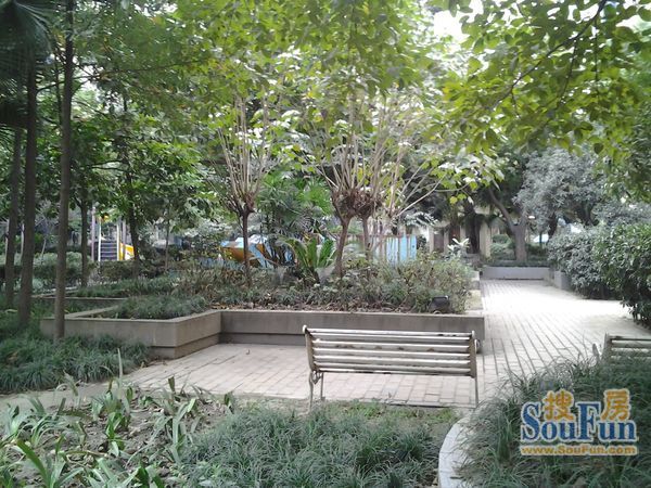 朝阳逸景3室2厅1卫东南朝向4350.00元/月出租