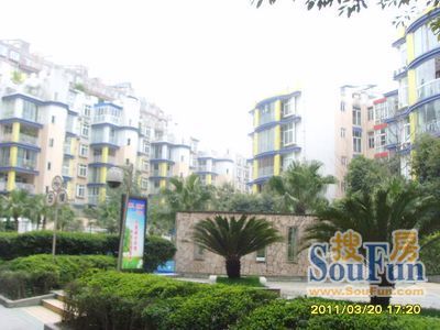 南桥新天地4室2厅2卫东南朝向1150.00元/月出租