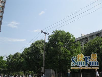和平小区一期3室2厅1卫南朝向3000.00元/月出租