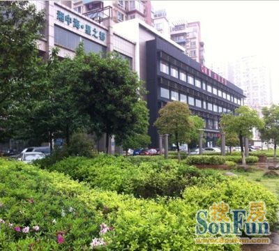 整租·湘中海星之都 4室2厅 南/北