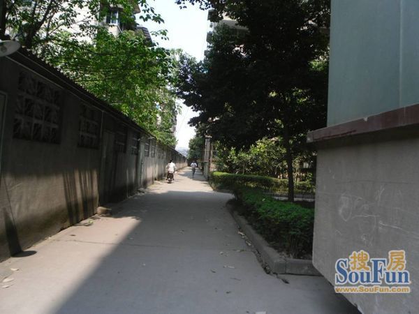 锦江苑实景图
