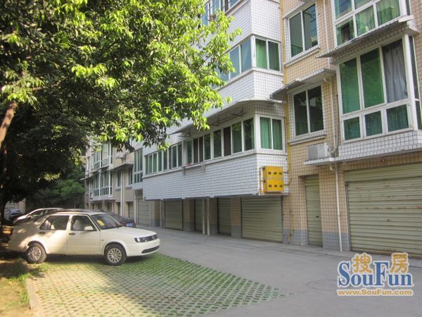 美丰花苑3室2厅2卫东南朝向1550.00元/月出租