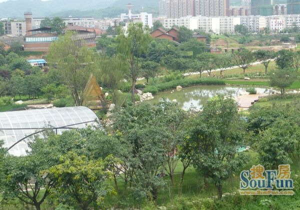 陶然精舍3室2厅2卫东南朝向1550.00元/月出租