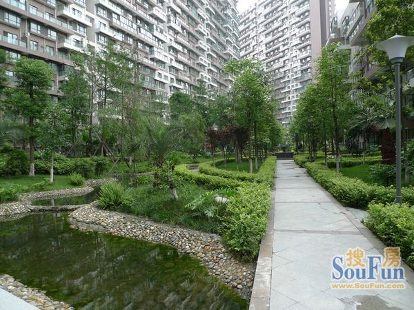 领馆区1号 5室 1厅 117.2平米