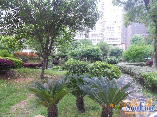 鑫天芙蓉3室2厅1卫南朝向2000.00元/月出租