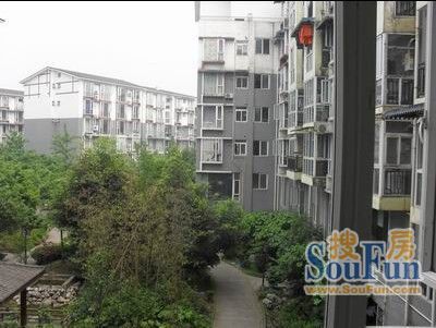 东方魅力2室1厅1卫东朝向1350.00元/月出租