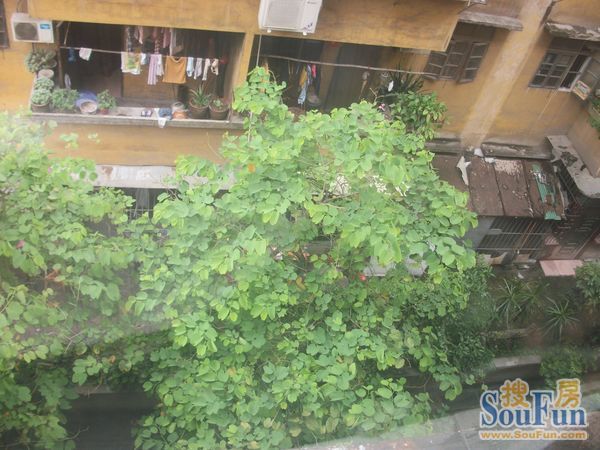 东滕花园实景图