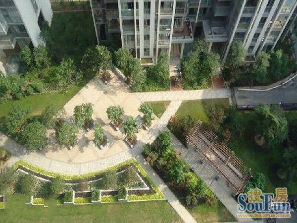 建鸿达华都2室1厅1卫南北朝向2800.00元/月出租