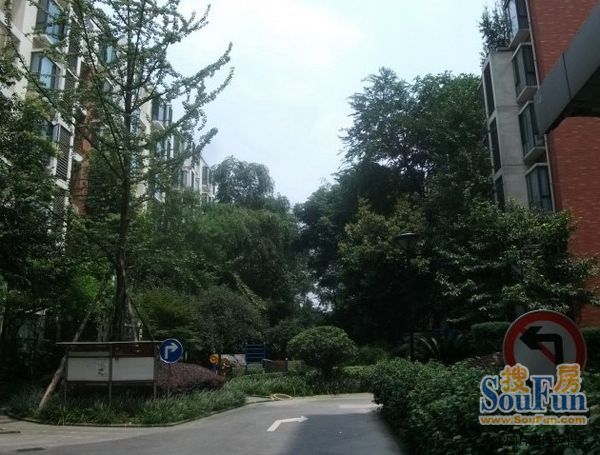 育才都市家园2室1厅1卫南朝向2820.00元/月出租