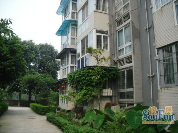 整租·7322军工厂 3室1厅 东南