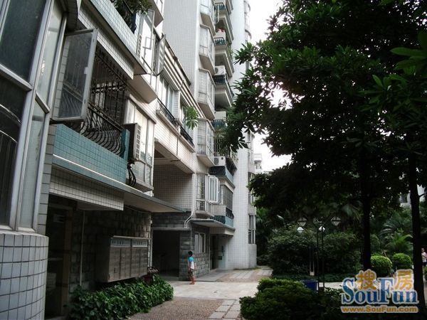 惠雅苑3室2厅1卫南朝向2000.00元/月出租