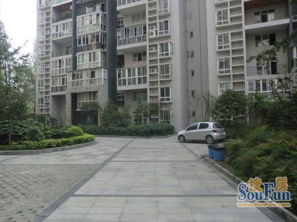 世纪华都3室1厅1卫东朝向1500.00元/月出租