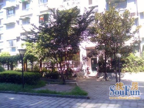 整租·尚锦园 3室1厅 南