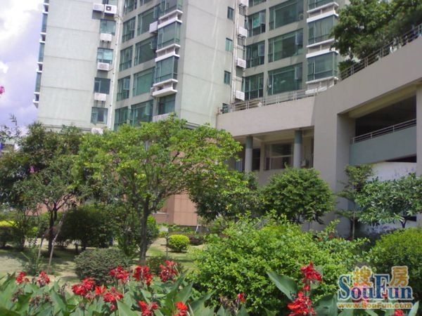 月亮湾3室2厅2卫西南朝向3000.00元/月出租