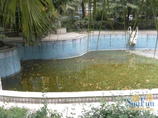 幸福枫景2室1厅1卫东朝向2800.00元/月出租