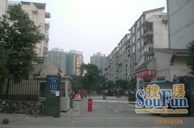金泉社区