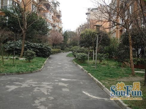 静水香榭 2室 2厅 117.3平米