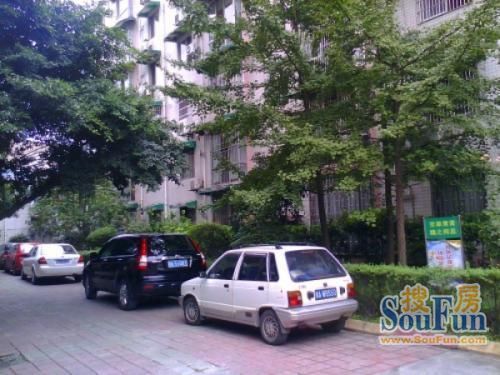 千禧公寓3室1厅2卫南朝向1300.00元/月出租