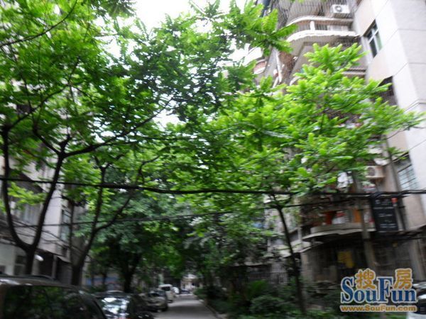 市桥怡乐园3室2厅1卫南朝向2300.00元/月出租