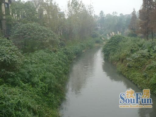 龙湖悠山郡一期4室2厅4卫南北朝向2200.00元/月出租